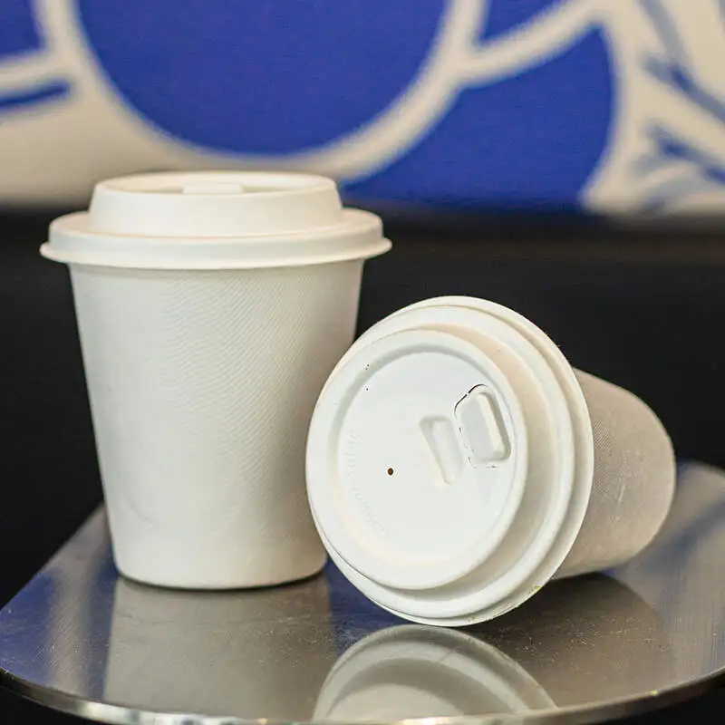 Eco Friendly 100% Biodegradable Compostable Bagasse Coffee Cup With Lid Sugarcane Bagasse Lid
