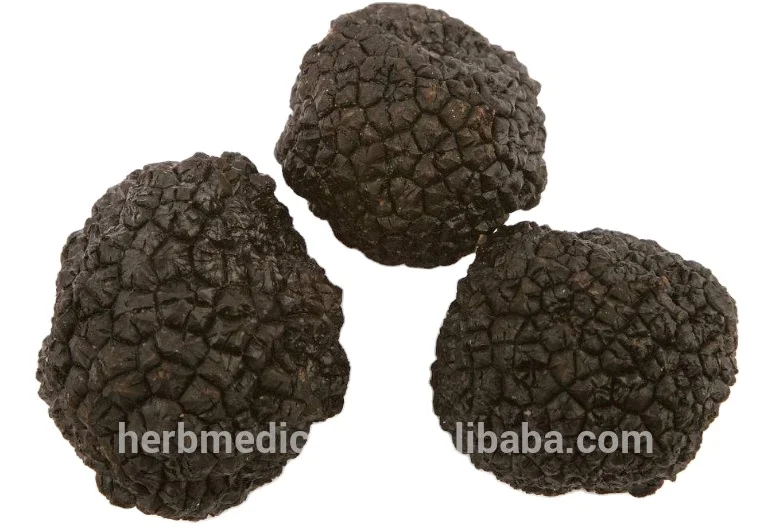 
Edible precious mushrooms natural sliced perigord truffle Tuber melanosporum 