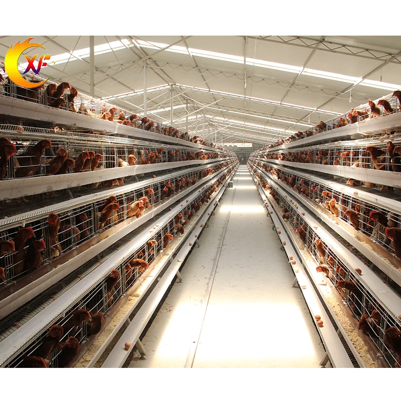 Cheap Price Poultry Farm Equipment Animal Cages Laying Hens Poultry Cages 3 Tiers Mesh Chicken Cage for 10000 Chicken Farm