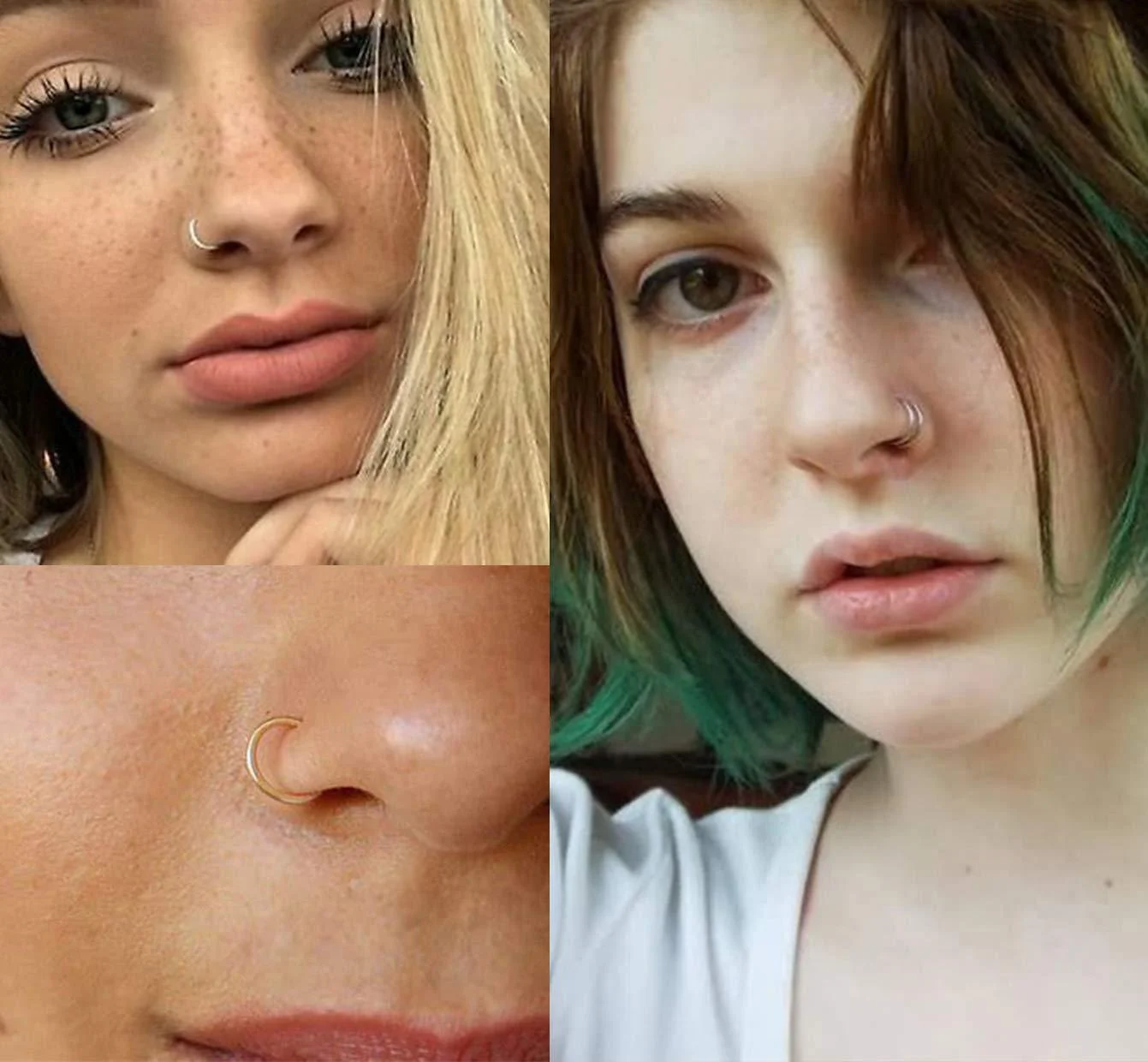 Wholesale Hot Sale Pierced C-Shaped Nose Ring Inlaid Zircon Leaves Rose Flower Nose Piercing Jewelry