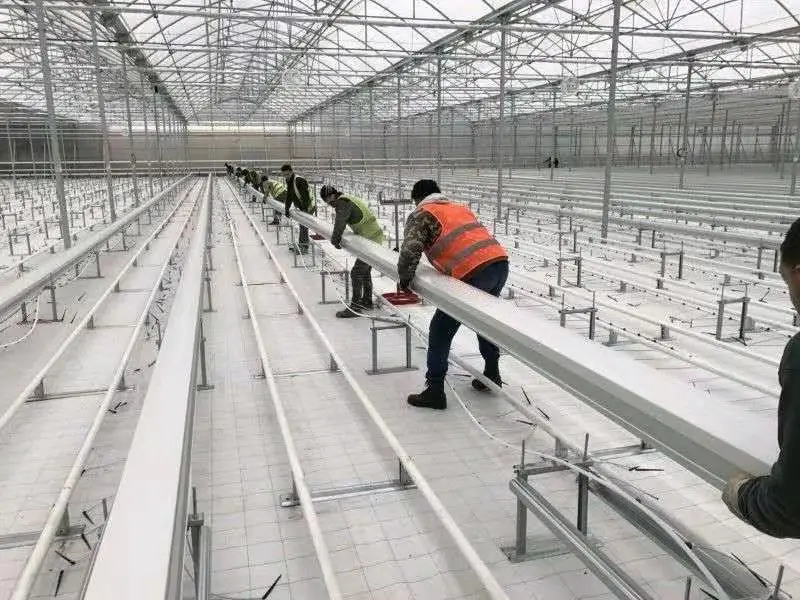 
Multi-span Tomato Greenhouse / Automatic Hydroponic Greenhouse System/Hydroponic Growing System 