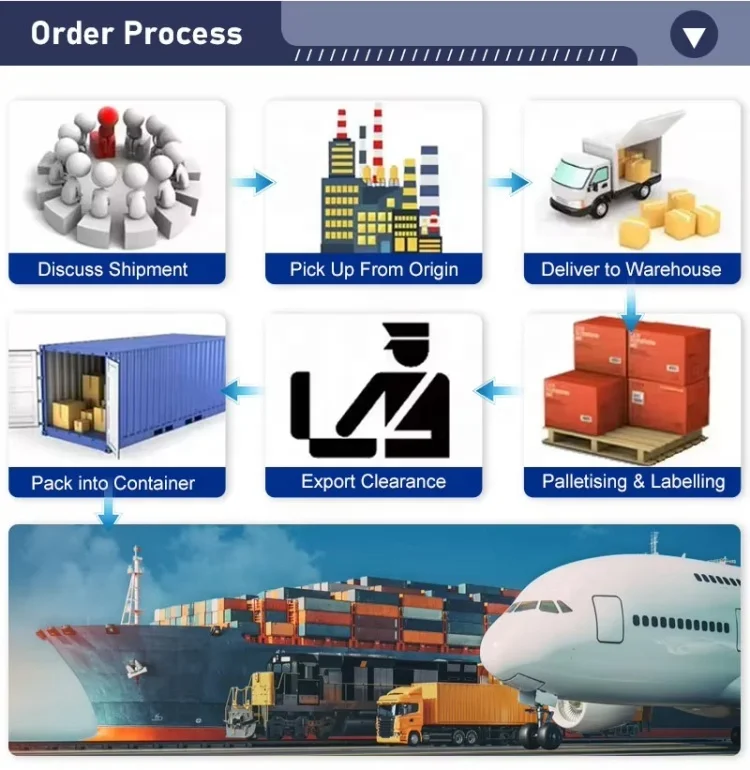 Sea Logistics Best Shipping Agent Handling Sea Logistics DDP Sea Shipping to Italy Germany Spain UK FRANCE for LCL