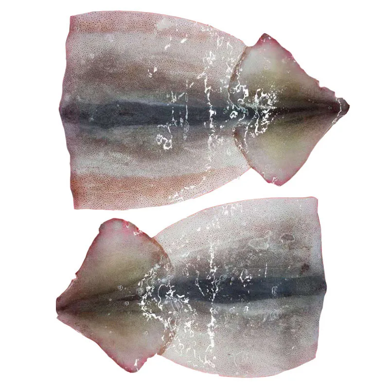 Cheap price Frozen squid fillet 100/150g, 150g+ Chinese factory manufacturing