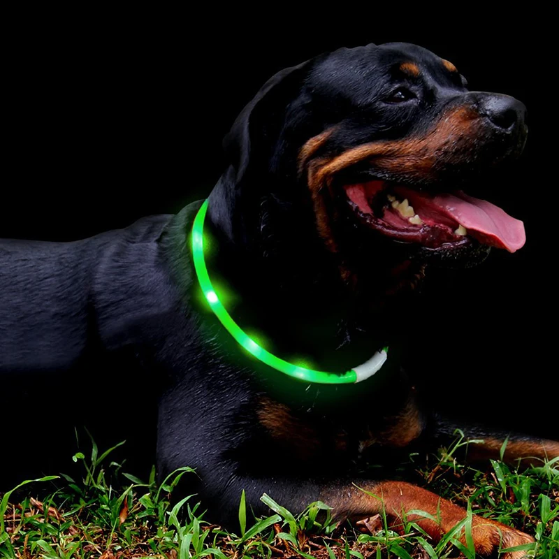 Waterproof Adjustable Light up Necklace Led Dog Collar for Dogs COLLARS Keep Your Pet Visible in Darkness USB Rechargeable 12pcs