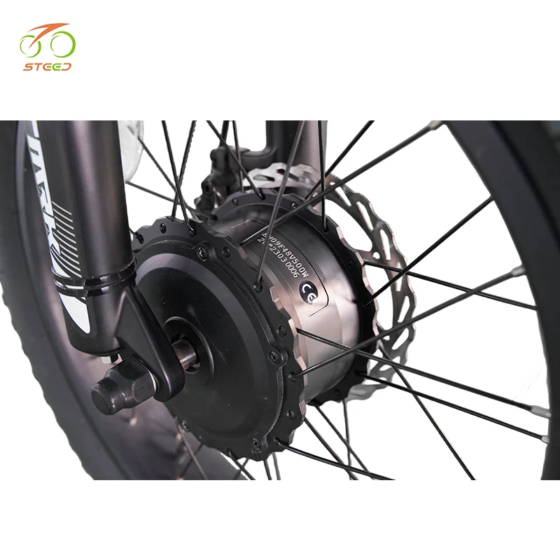 Steed 48 volt  battery cargo ebike 48v 3 wheels electric bike bicycle electric cargo