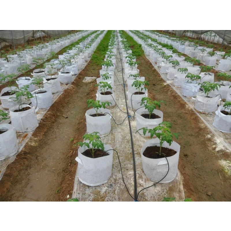 Commercial greenhouse irrigation system agricultural greenhouses drip irrigation set