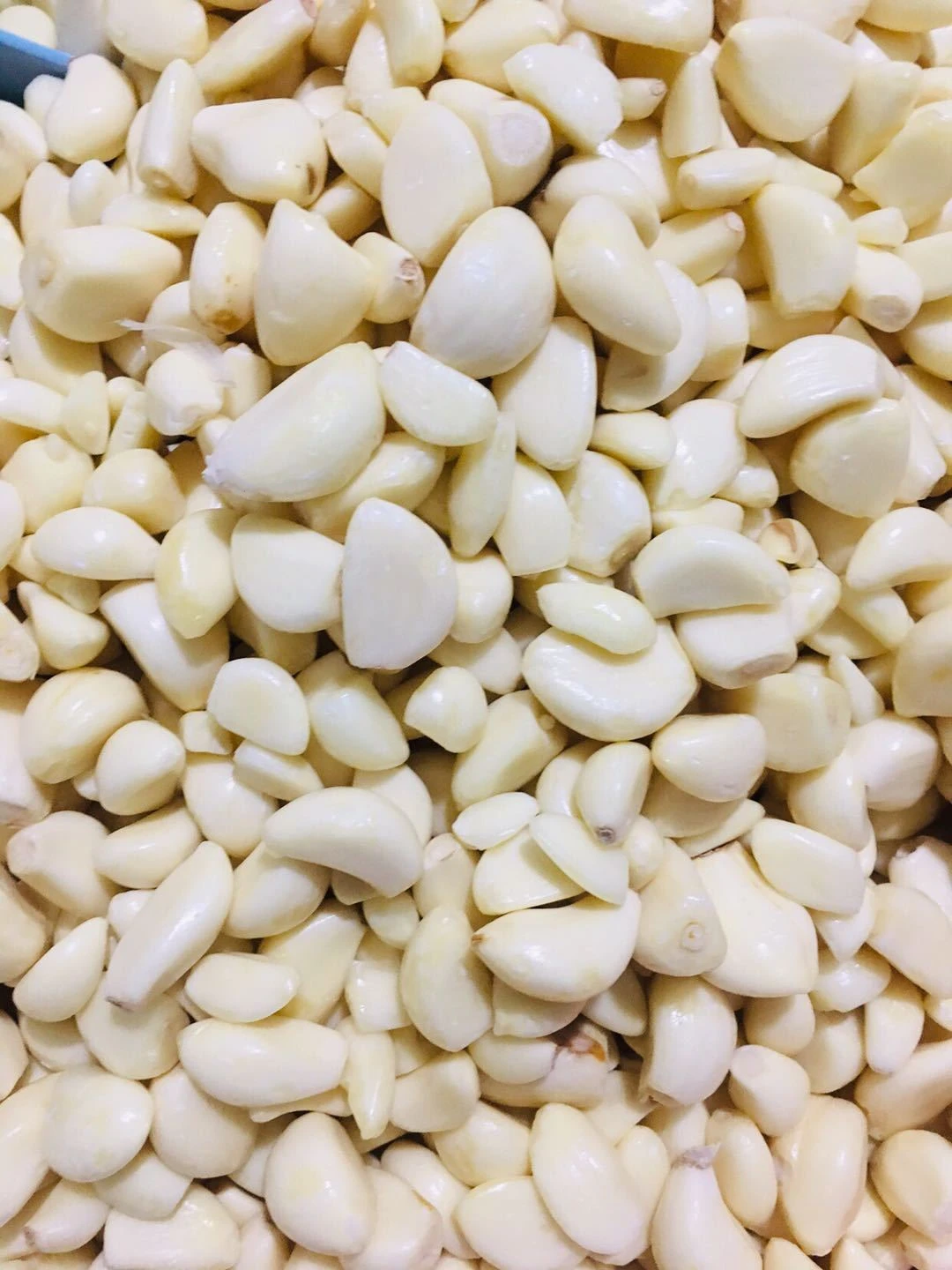 
BDF paste puree portion and whole frozen pure white garlic 
