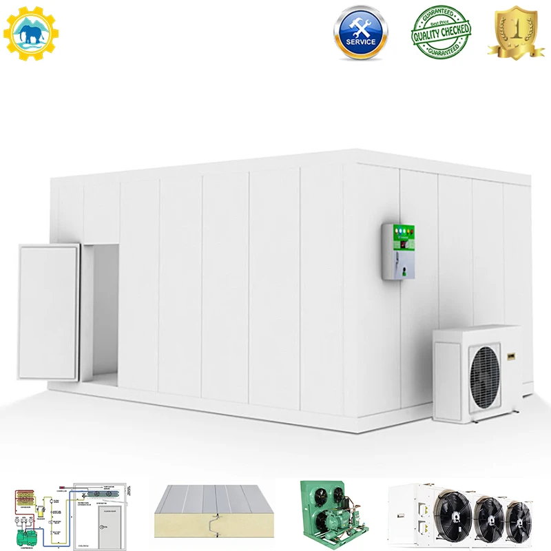 truck box refregreated cold room Walk In Blast Food Seafood Deep Freezer Chiller Cold Room