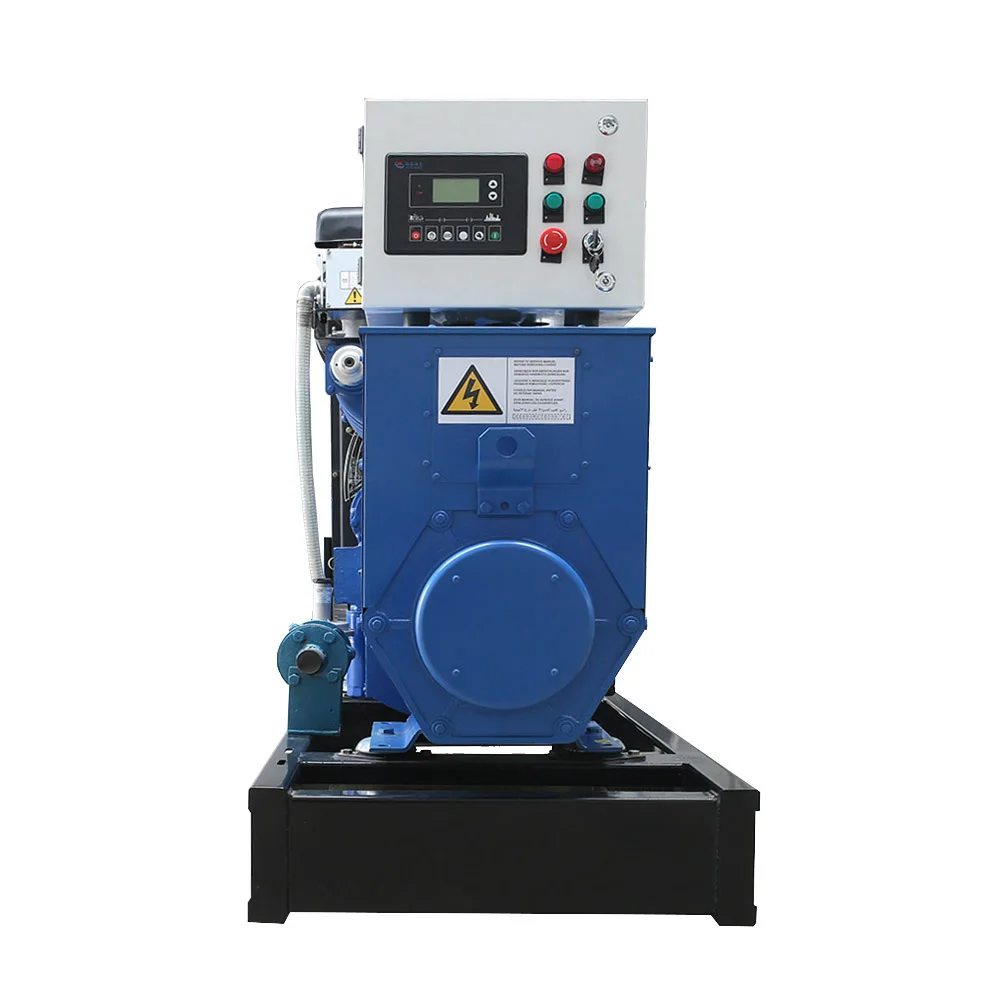 Animal Manure Farm Use Methane 3phase Water Cooled 100kW 200kW 300kW 500kW Silent Type Bio Gas Generator