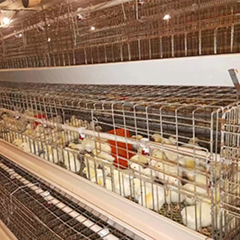 H type chicken cage broiler raising cages for keeping chicken layers