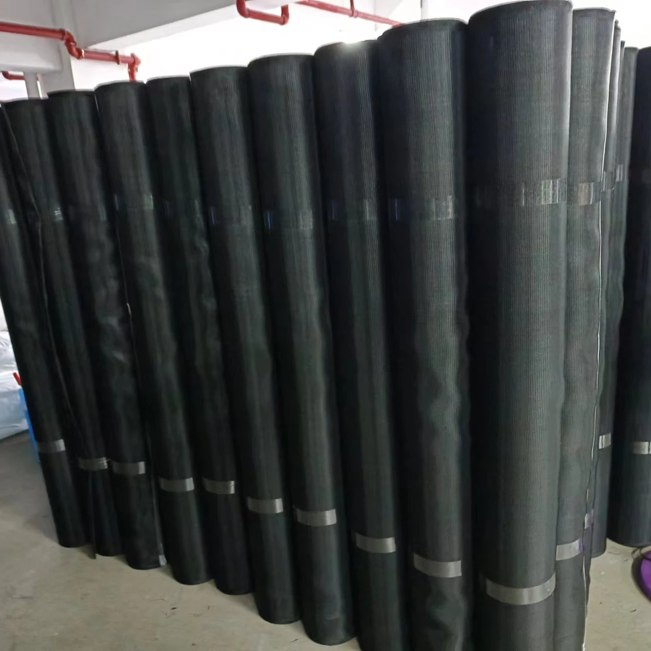 Hot Sale Portobello Mushrooms  Growing Nets/nursery Bed Nets For Mushroom Automated Cultivation