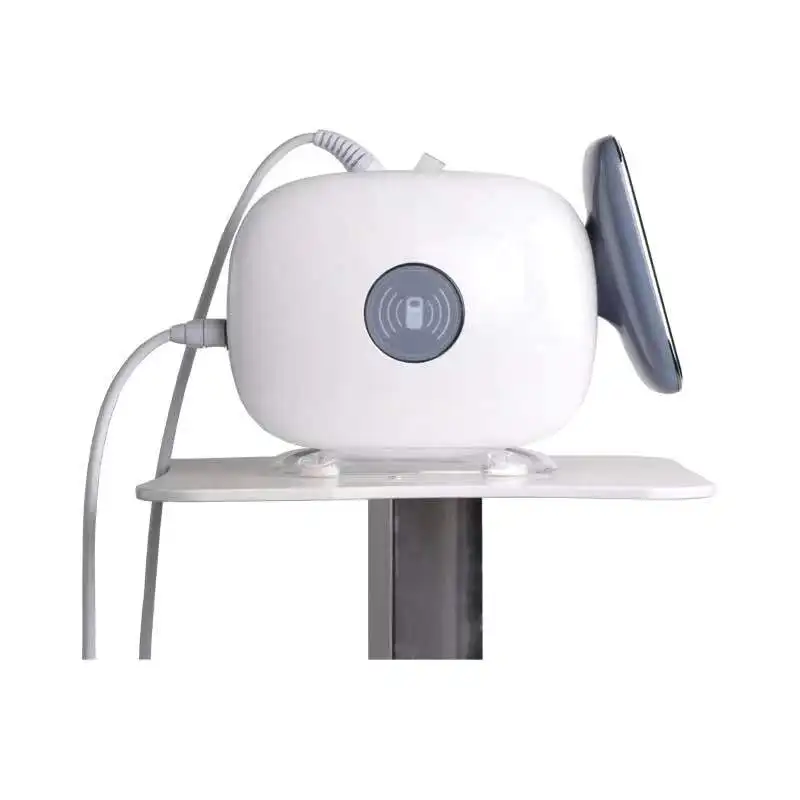 New arrival non-Invasive needle free mesotherapy RF device EMS nano Serum meso Injector gun