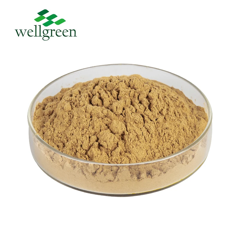 Натуральные травы Wellgreen чистый экстракт пории кокоса 50% полисахариды бесплатный образец