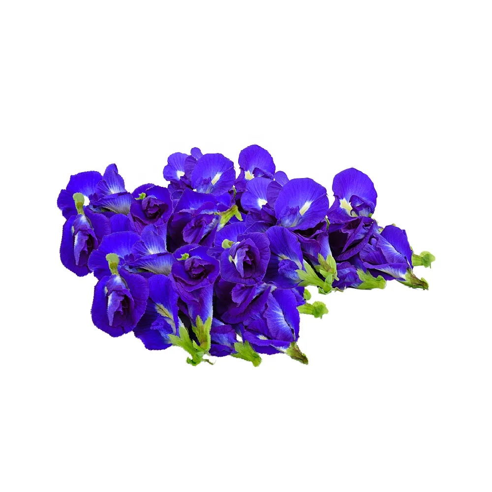 
MISS CHAYA Pure Organic Raw Dried Blue Butterfly Pea flower Herbal Thailand Drink And Hair Care Anti Oxidant 
