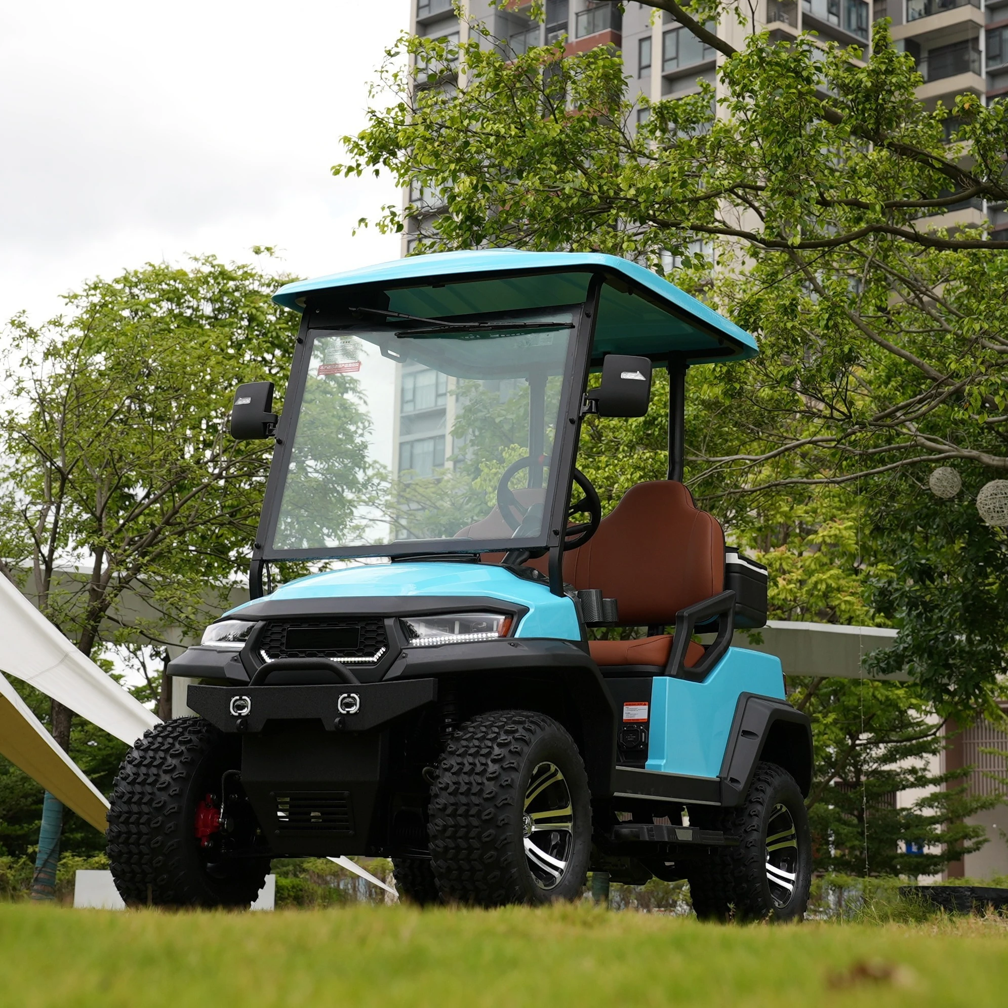 Cengo Brand Wholesale 2 Seater Electric Carrito De Golf Cart For Sale Shuttle Bus Sightseeing Buggy