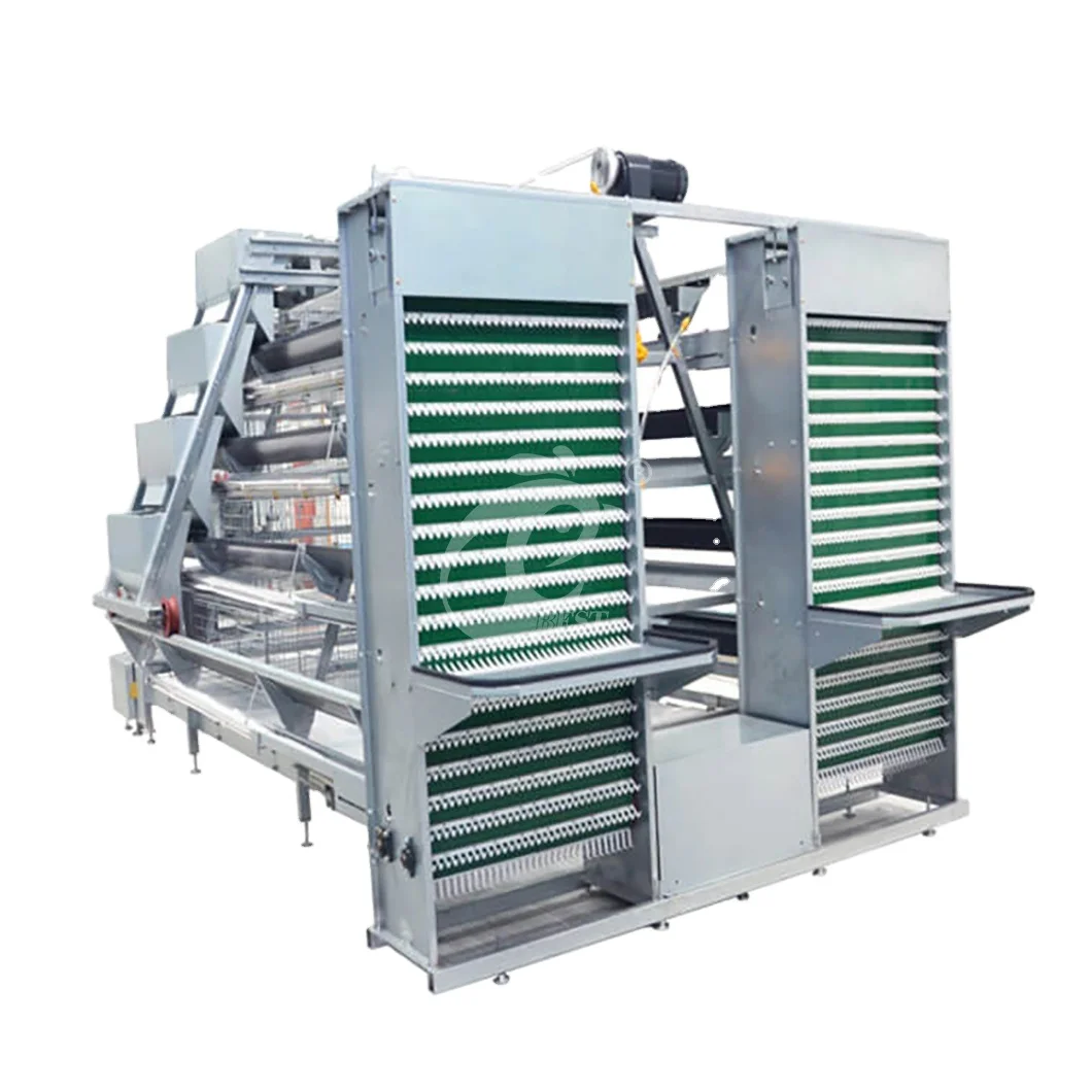 China A Type Laying Coop Wholesale Layer Cage System Manufacturers 920*730*420mm Size 4 Tier Layer Cage