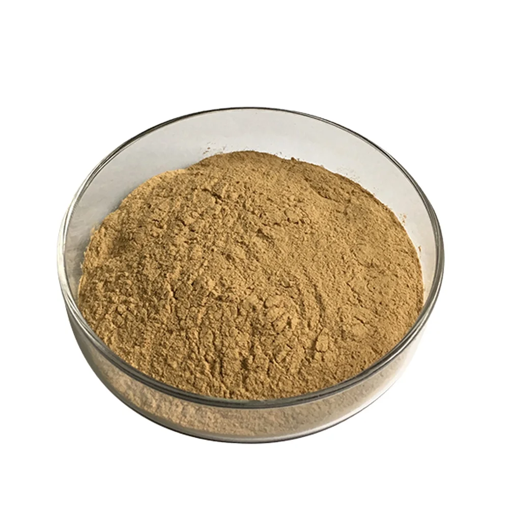 Wholesale cellulase enzyme industrial cellulase enzyme powder enzyme cellulase