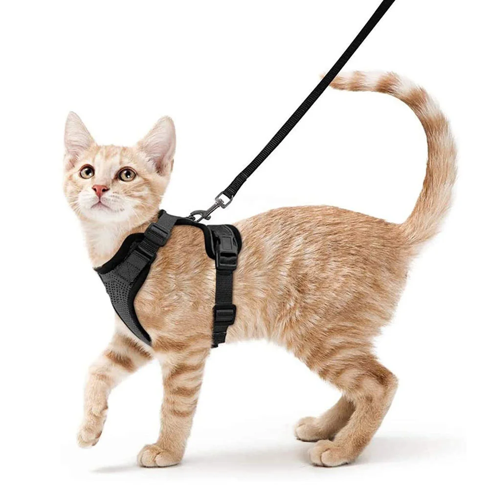 Manufacturer Wholesale Pet Breathable Chest Strap Reflective Anti-Breakaway Adjustable Pet Cat Harness