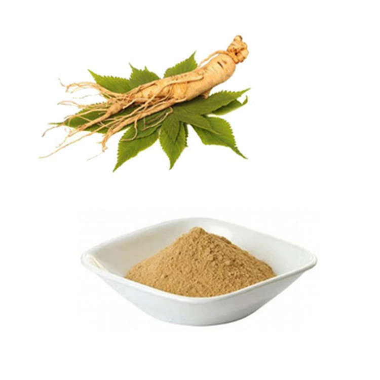 
Ginseng Powder Ginseng Root Extract Ginseng Extract Panax Notoginseng Extract 