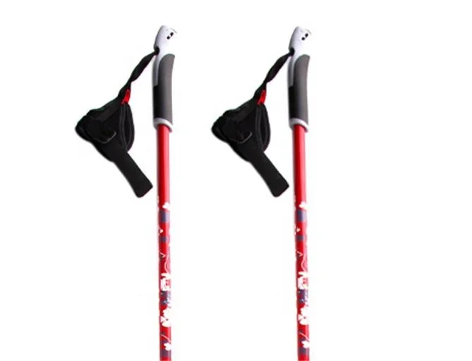 Factory directly wholesale quick release TPR handles 16mm alpine ski sticks one section walking poles