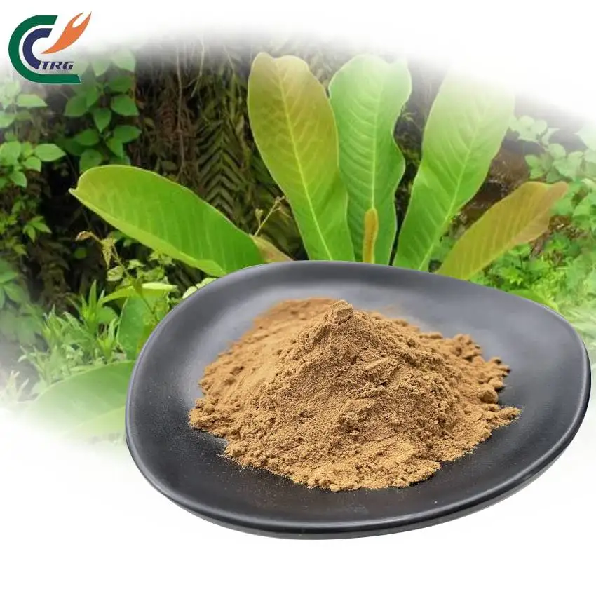 Hot Selling Supply 100% Natural Magnolia Bark Extract Powder Magnolia Bark Powder