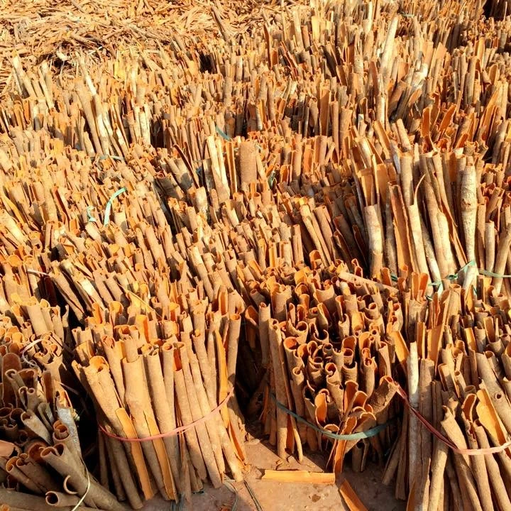 Vietnam cassia tube(8 см) дешевые специи высокого качества