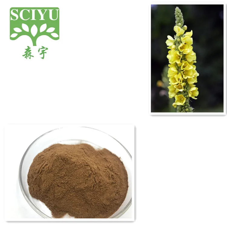 Sciyu supply  mullein extract