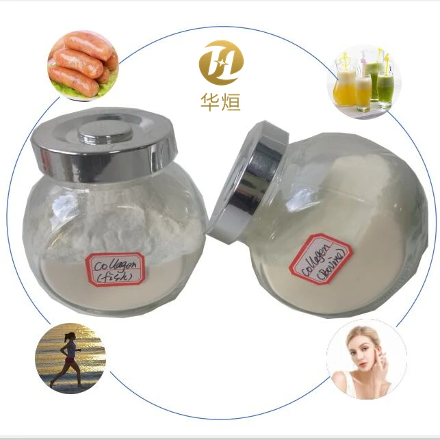 Hot sale hydrolyzed odorless marine collagen powder the best collagen