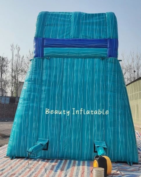 new design dolphin waterslide inflatable water slide with pool for sale