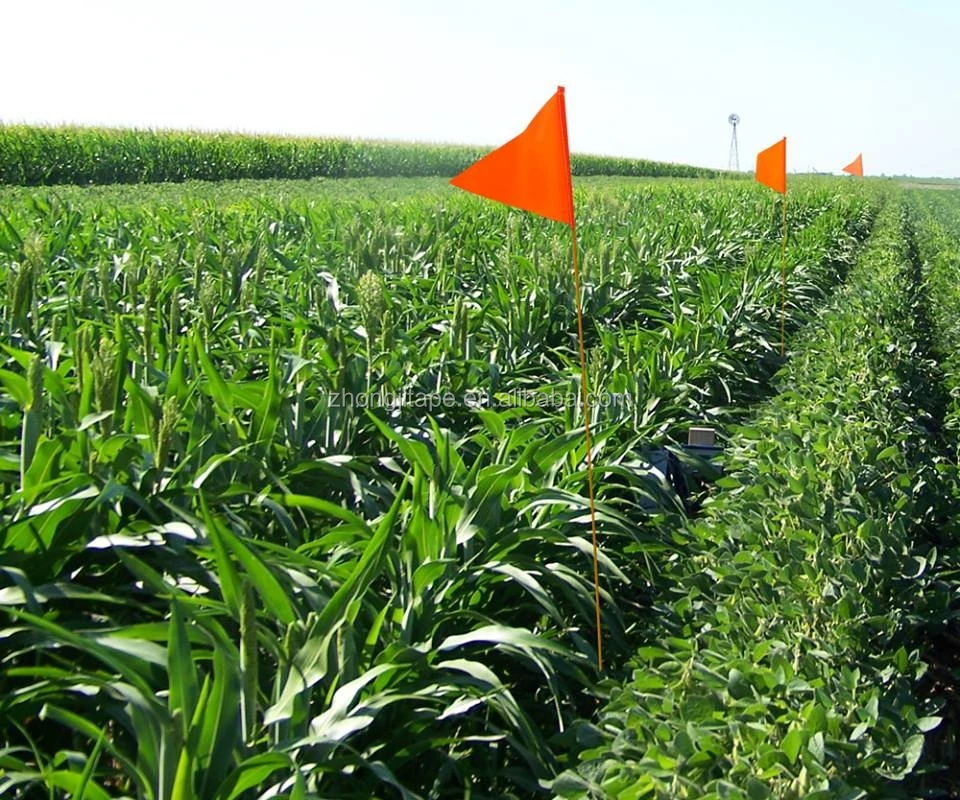 Rod Wire Stake Flags