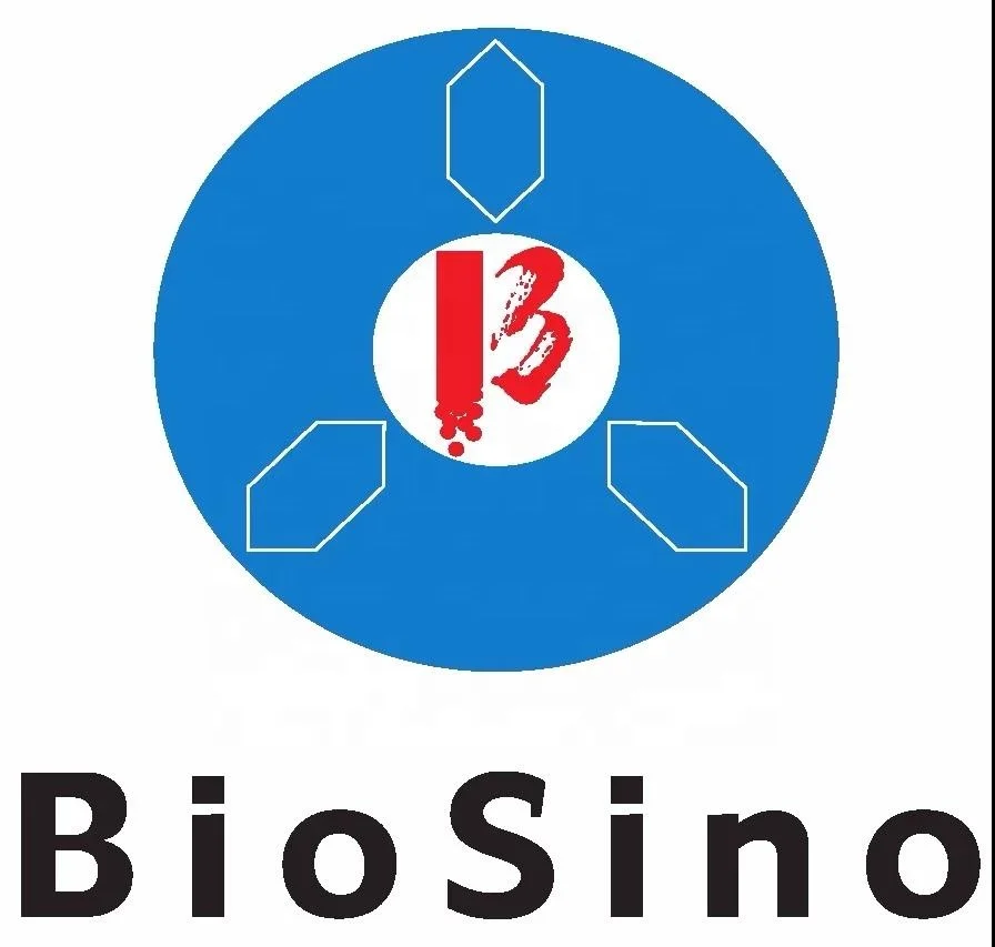 Blood Testing Equipments,POCT Cardiac/Diabetes/Inflammation/HORMONE/TUMOR MARKER/Infectious Disease
