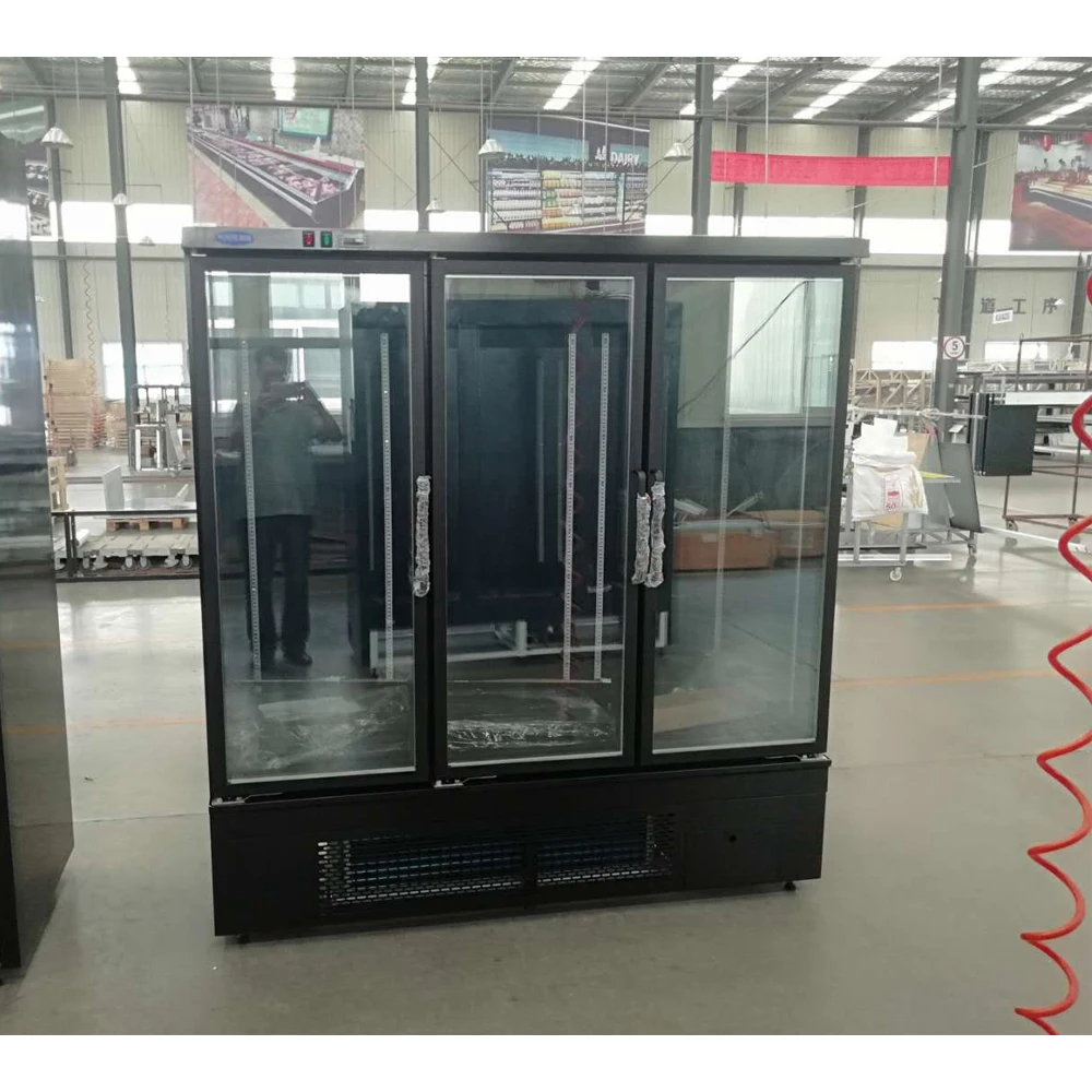Single-Temperature Refrigerator with Built-In Compressor Coolers Supermarket Kitchen Restaurant Glass Door Cooling Type Home Use