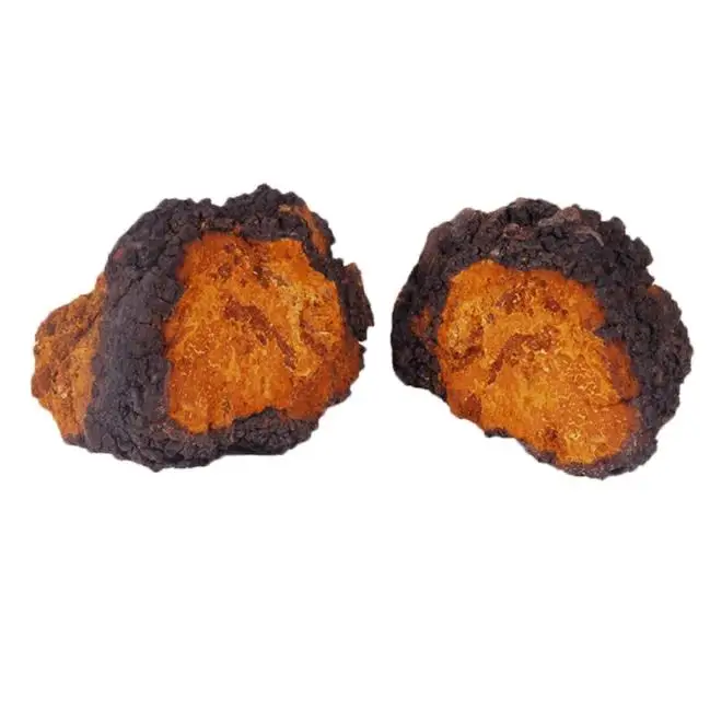  Высокое качество новинка оптовая продажа натуральный chaga замороженный цельный гриб tonotus