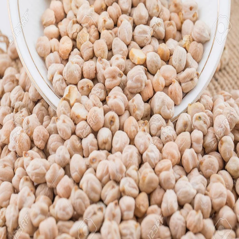 Natural  Kabuli Chickpeas pulses india chickpeas best quality