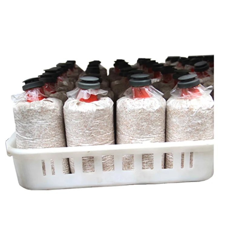 Durable plastic loading compost bags basket for oyster mushroom production line
