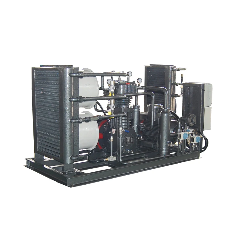 Manufacturer Custom Gas Compressor Biogas to Cng Convator Machine Biogas Digester Compression for Biogas Transmission