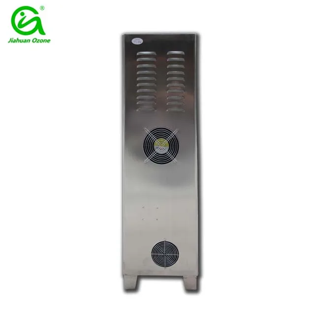 Generator Ozone Water Treatment 80g Air Water Purificaton Machine