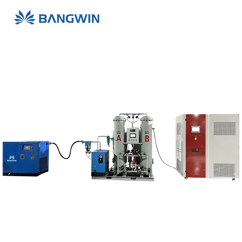 BW Factory Price 30L/hr Small Liquid Nitrogen Plant Ln2 Generator Liquid Nitrogen Machine