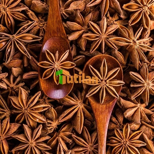 Оптовая продажа с завода, самая низкая цена и лучшее качество, специи и приправы, семена вьетнамского аниса