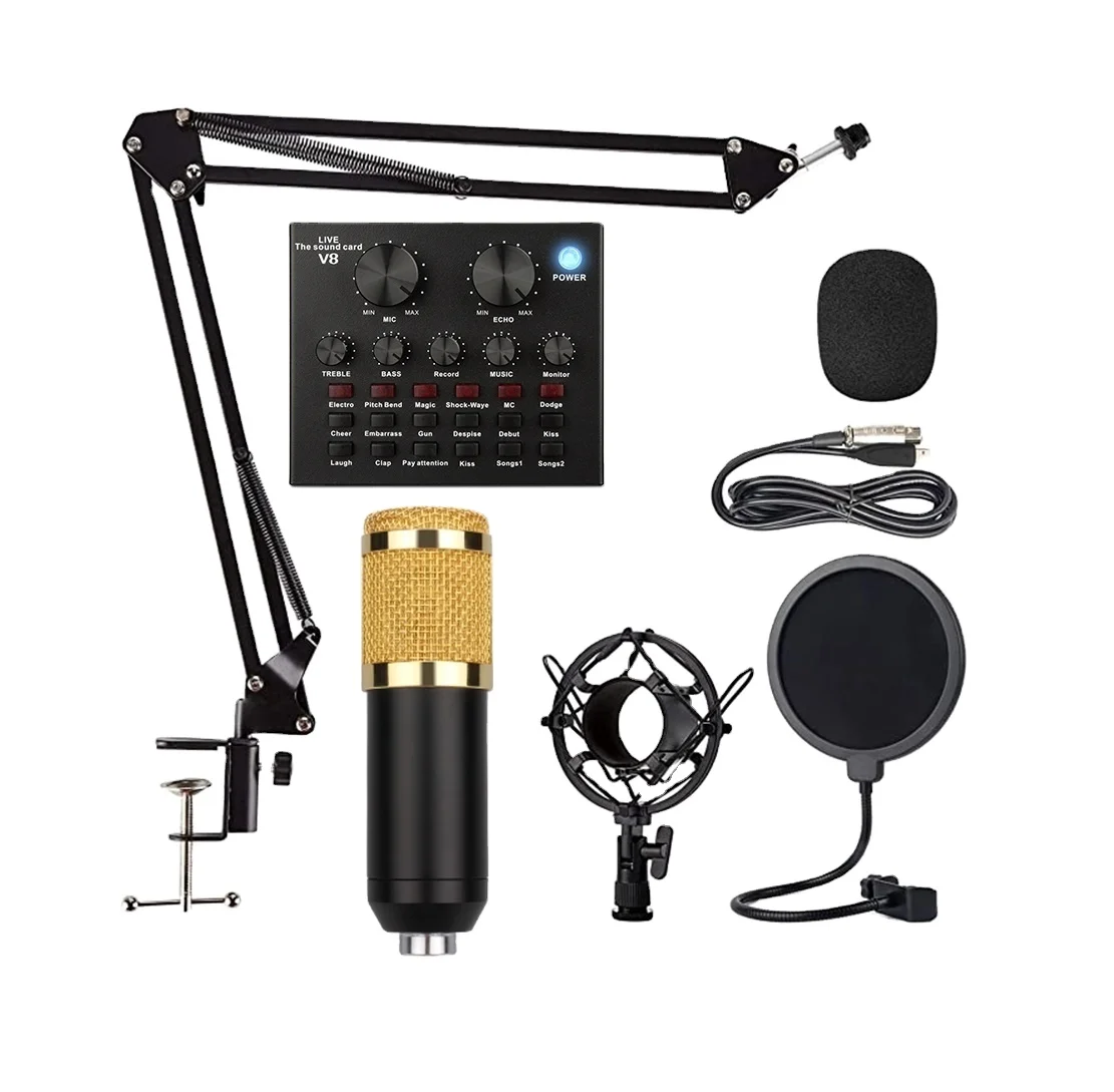 China Manufacturer Studio Set Sound Card And Microphone For Singing Room