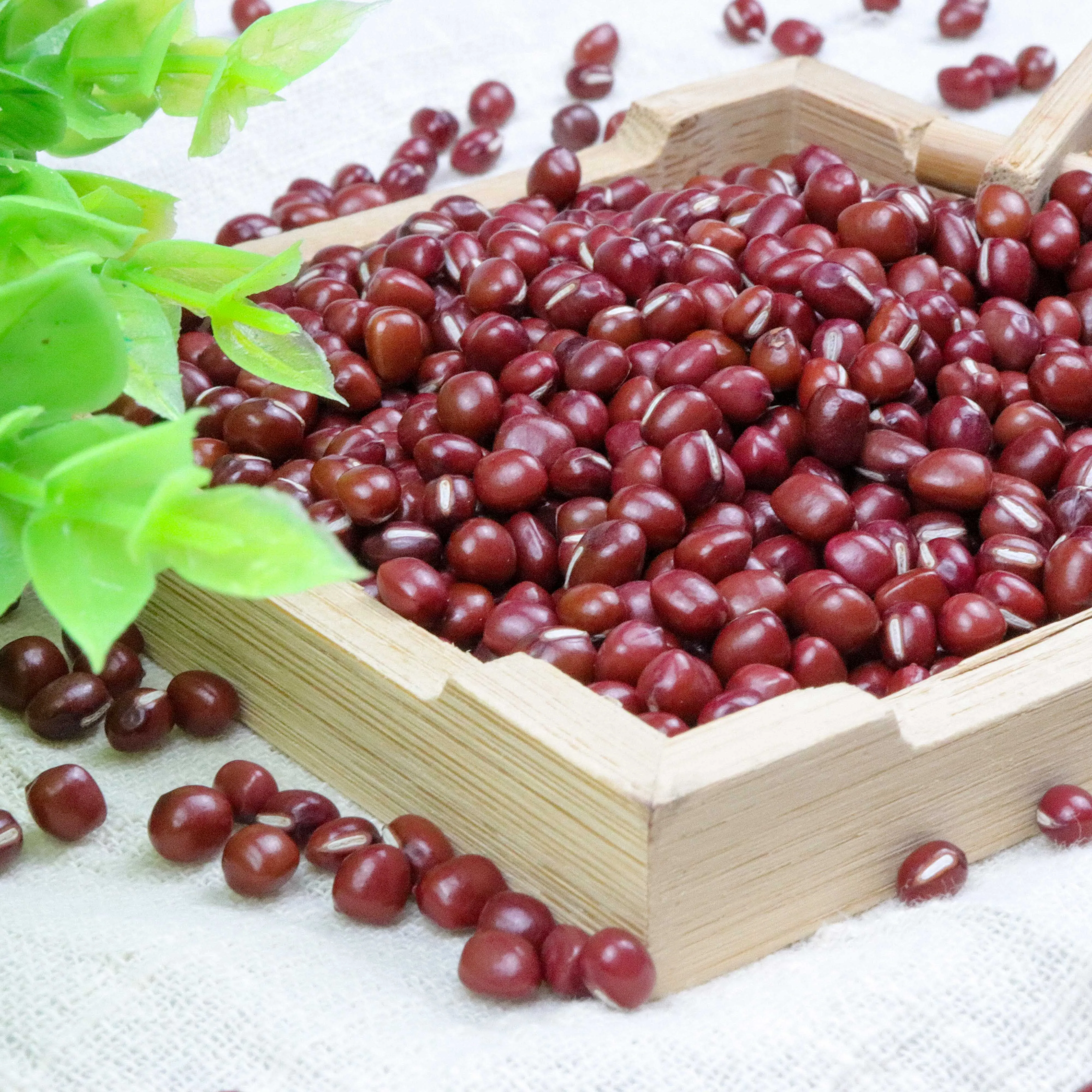 
2020 New Crop Organic Red Adzuki Beans Small Round Beans with Wholesale Price OEM packing 