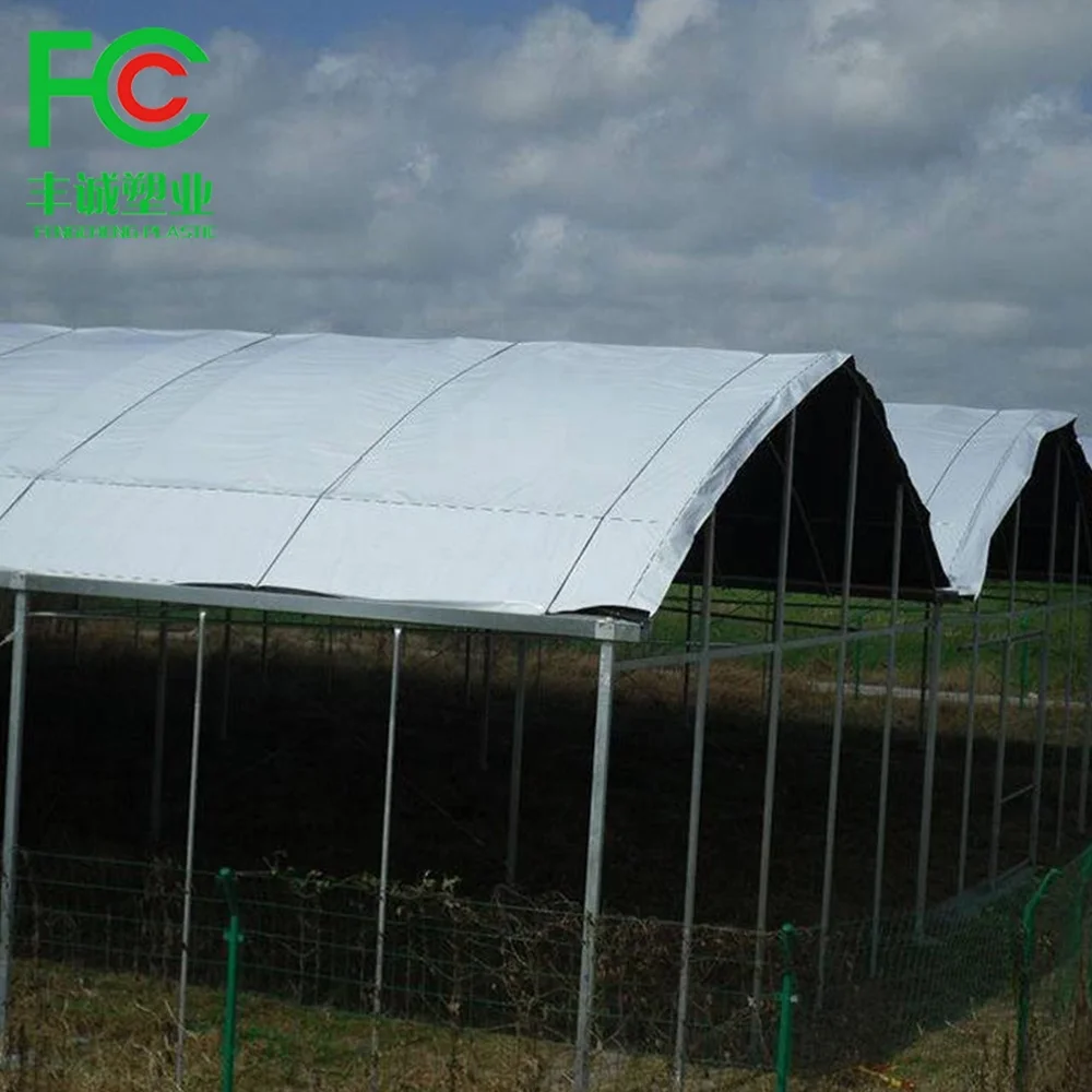 White and Black Color Panda Agricultural Polyethylene PE Ground Cover Plastic Mulching Films