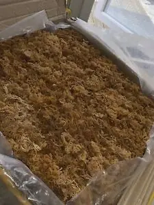 ATL GLOBAL - NATURAL PURE DRIED GOLD SEAMOSS WITH HIGH QUALITY FROM VIETNAM ( Whatsapp: +84975262928, Helen)