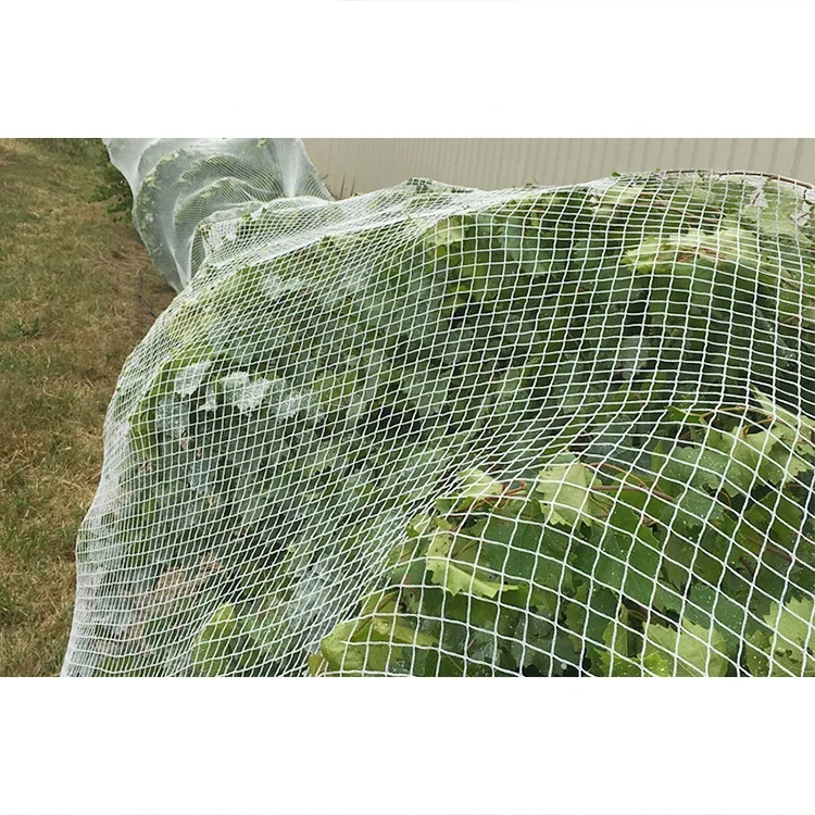  HDPE + УФ-вязаные анти-птичьи сети hdpe сельское хозяйство сетка для