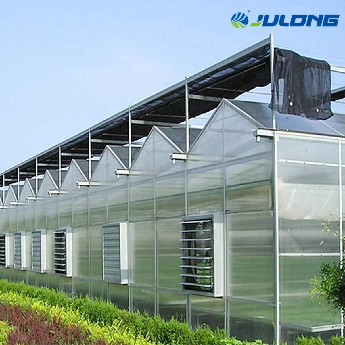 Hydroponics Greenhouses Greenhouse Supplier Polycarbonate Sheet Greenhouse for vegetables