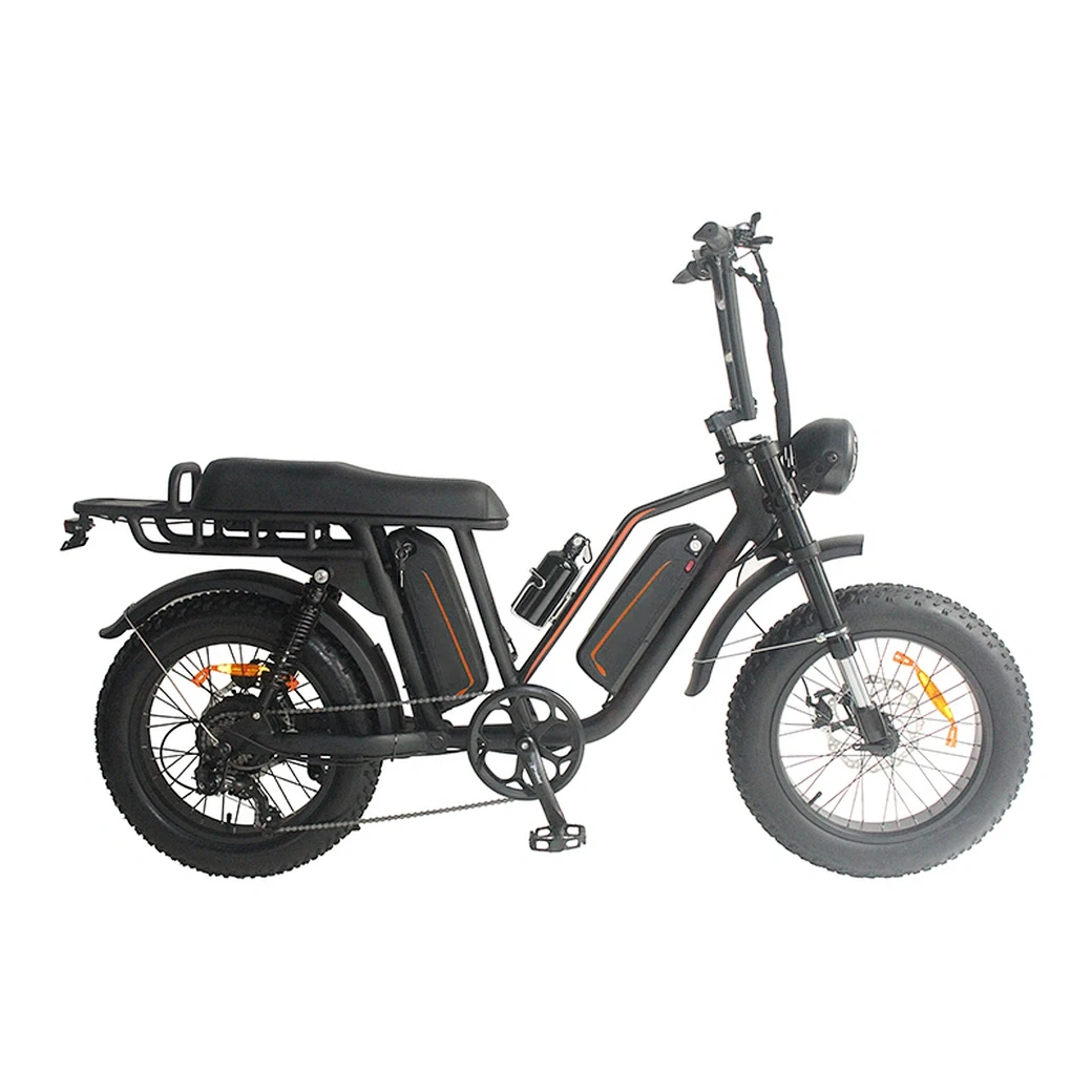 2024 Hot Selling Electric Mountain Bike 500W 20 inch Full Suspension Dual 48V13Ah Lithium Batteries Fat Tire Ebike
