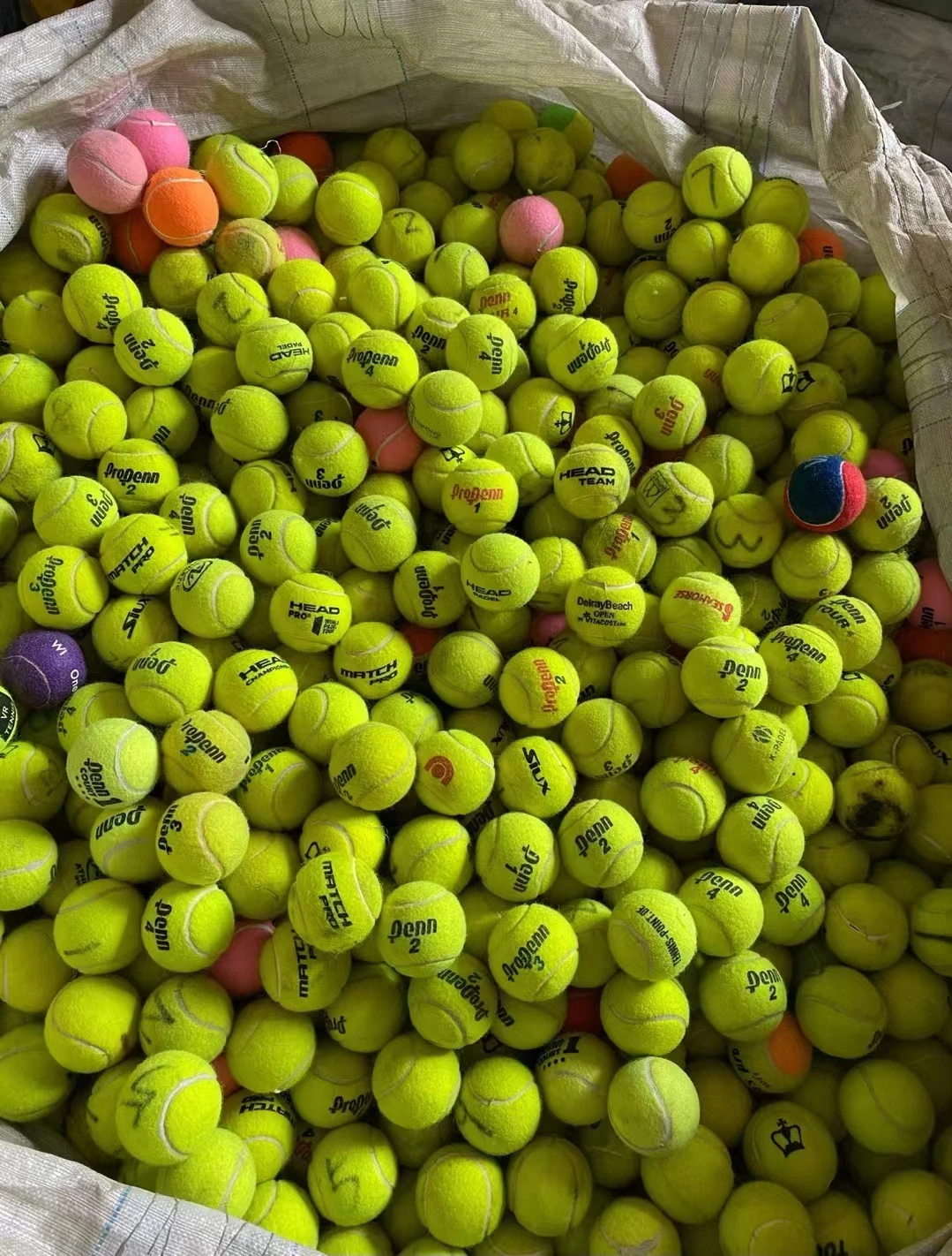 EXITO  Head Supplier Wholesale Professional Competition sports Tennis Padel Ball Bounce Paddle Tennis ball