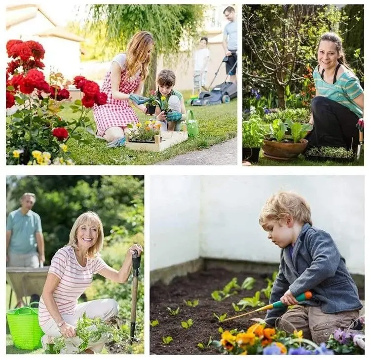 Soil pH test Kit Use for Testing Garden Home Lawn Grass Vegetable