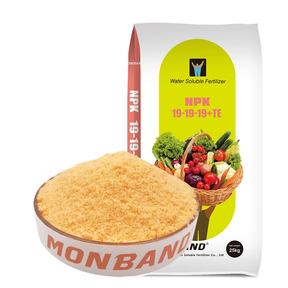 NPK 19-19-19+TE Soluble Balance Formulations NPK Fertilizers New Products Compound Fertilizer water soluble fertilizer