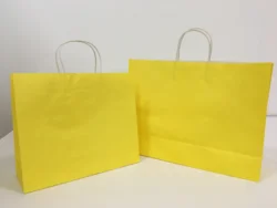 Factory Full color printed White And Brown Kraft Paper Twisted Handle Shopping Carrier Bag With Logo Printed